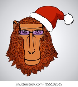 Portrait of a monkey in a Christmas cap