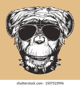 Portrait of Monkey with collar and sunglasses. Hand-drawn illustration. Vector	