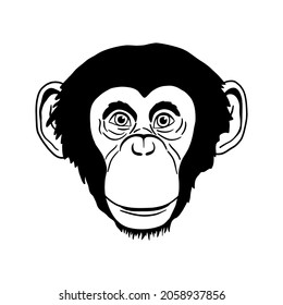 Portrait of monkey isolated on white background. Vector Head of Chimpanzees in line art style.