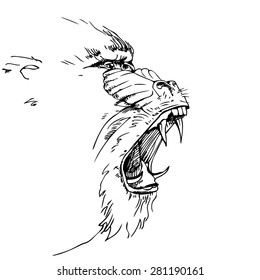 portrait of monkey, mandrill
