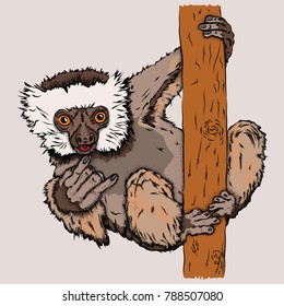 Portrait of a monkeys. Can be used for printing on T-shirts, flyers, etc. Vector illustration