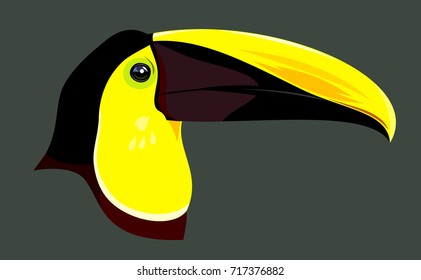 Portrait of a multi-colored, exotic bird Toucan