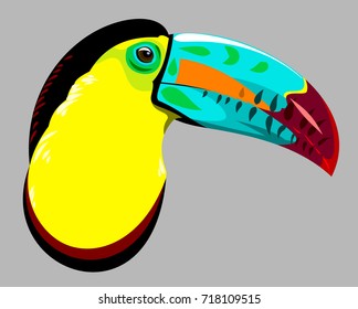 Portrait of a multi-colored, exotic bird Toucan