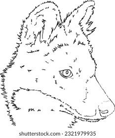Portrait muzzle fox animal wildlife predatory doodle linear cartoon coloring