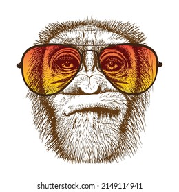 Portrait of a muzzle of a monkey in fashionable glasses, a portrait of a gorilla of a wild animal, for printing on t-shirts, an avatar, souvenirs