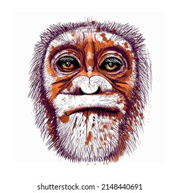 portrait of a muzzle of a monkey, gorilla, head of a wild animal, for printing on T-shirts, avatar
