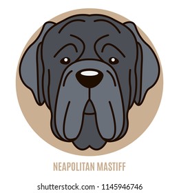 Portrait of Neapolitan Mastiff. Vector illustration in style of flat