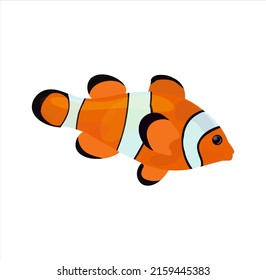 Portrait of nice tropical fish. Vector