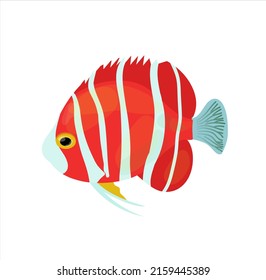 Portrait of nice tropical fish. Vector