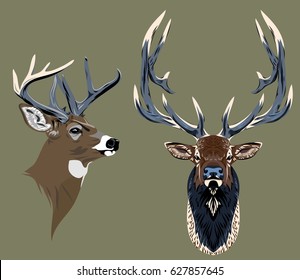 Portrait of a noble horned deer in a facet and profile