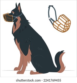 Portrait of obedient dachshund in beige silicone basket muzzle on blue background. Rules for safe walking dogs with bad behavior and character, and to prevent biting and chewing food waste in street