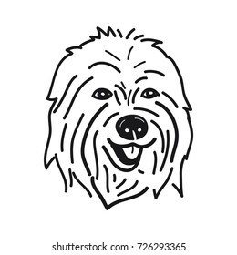 portrait of Old English Sheepdog Breed on White Background,Vector illustration