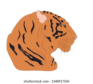 portrait of an orange tiger, vector, white background