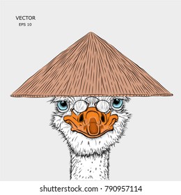Portrait of a ostrich in a Asian hat.