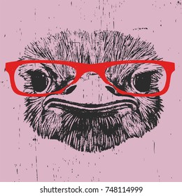 Portrait of Ostrich with glasses, hand-drawn illustration, vector