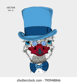 Portrait of a ostrich in a hat. 