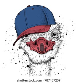 Portrait of a ostrich in a hat. Can be used for printing on T-shirts, flyers, etc. Vector illustration