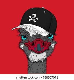 Portrait of a ostrich in a hat. Can be used for printing on T-shirts, flyers, etc. Vector illustration