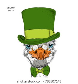 Portrait of a ostrich in a hat. Can be used for printing on T-shirts, flyers, etc. Vector illustration