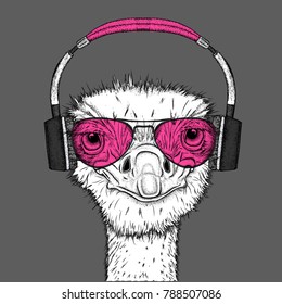 Portrait of an ostrich in headphones. Can be used for printing on T-shirts, flyers, etc. Vector illustration