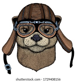 Portrait of otter. Cute animal head. Motorcycle helmet.