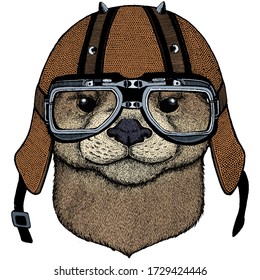 Portrait of otter. Cute animal head. Motorcycle helmet.