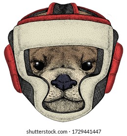Portrait of otter. Cute animal head. Boxing helmet.