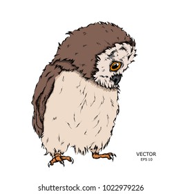 Portrait of a Owl. Can be used for printing on T-shirts, flyers and stuff. Vector illustration