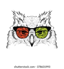 Portrait of the owl in the colored glasses. Think different. Vector illustration.