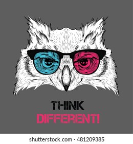 Portrait of the owl in the colored glasses. Think different. Vector illustration.