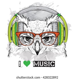 Portrait of owl in the glasses and headphones. Vector illustration. 