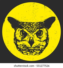 Portrait of Owl. Hand drawn illustration. Vector.