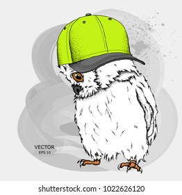 Portrait of a Owl in a hat. Can be used for printing on T-shirts, flyers, etc. Vector illustration