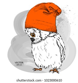 Portrait of a Owl in a hat. Can be used for printing on T-shirts, flyers, etc. Vector illustration