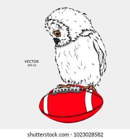 Portrait of an owl on a ball. Can be used for printing on T-shirts, flyers and stuff. Vector illustration