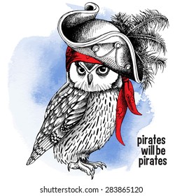 Portrait of a Owl in pirate feathers hat with red bandana on blue background. Vector illustration.