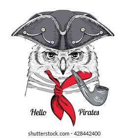 Portrait of owl in pirate hat. Vector illustration.
