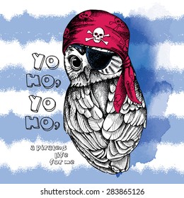 Portrait of a Owl in red pirate bandana on blue striped background. Vector illustration.