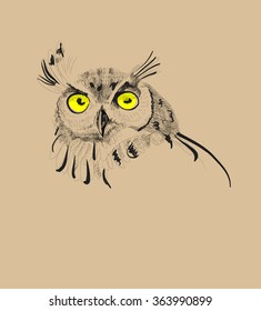 Portrait of an owl, vector illustration