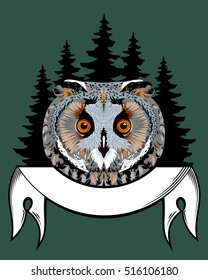 Portrait of an owl in the woods and banner background