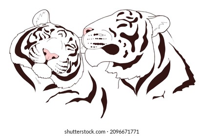 Portrait of a pair of white tigers, muzzles of two tigers, vector illustration