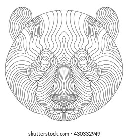 Portrait of Panda