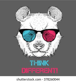 Portrait of the panda in the colored glasses. Think different. Vector illustration.
