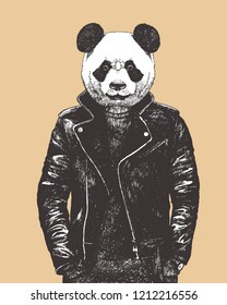 Portrait of Panda dressed up in leather jacket, hand-drawn illustration, vector