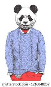 Portrait of Panda dressed up in sweater, hand-drawn illustration, vector