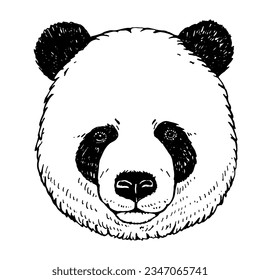 Retrato de Panda. Ilustración dibujada a mano. Vector