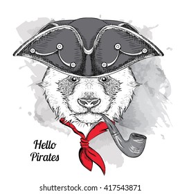 Portrait of panda in pirate hat and with tobacco pipe. Vector illustration.