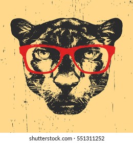 Portrait of Panther with glasses. Hand drawn illustration. Vector.
