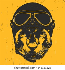 Portrait of Panther with Vintage Helmet. Vector