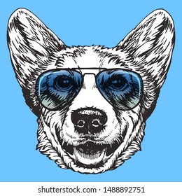 Portrait of Pembroke Welsh Corgi with blue sunglasses. Hand-drawn illustration. Vector